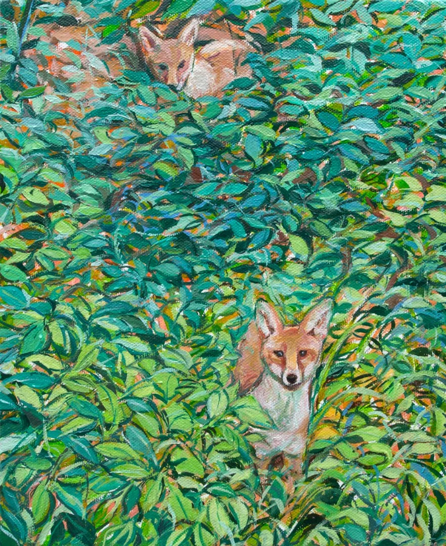 Corn Shuk Mei HO, Honor Oak Foxes Behind Our Garden